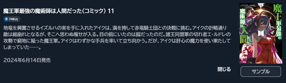 魔王軍最強の魔術師は人間だった