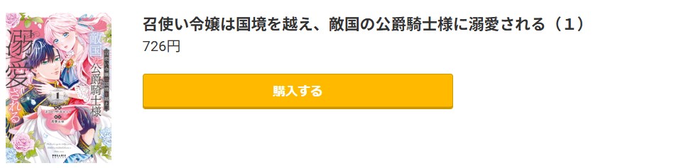 召使い令嬢は国境を越え、敵国の公爵騎士様に溺愛される