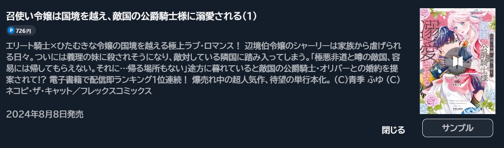 召使い令嬢は国境を越え、敵国の公爵騎士様に溺愛される