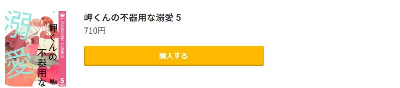 岬くんの不器用な溺愛