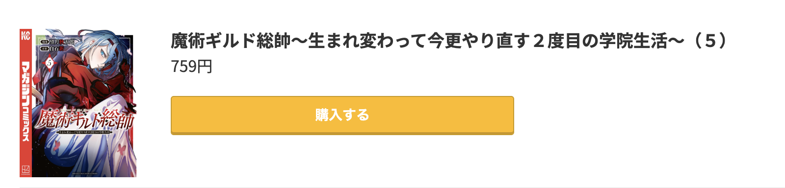 魔術ギルド総帥