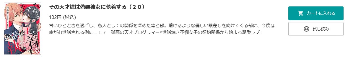 その天才様は偽装彼女に執着する