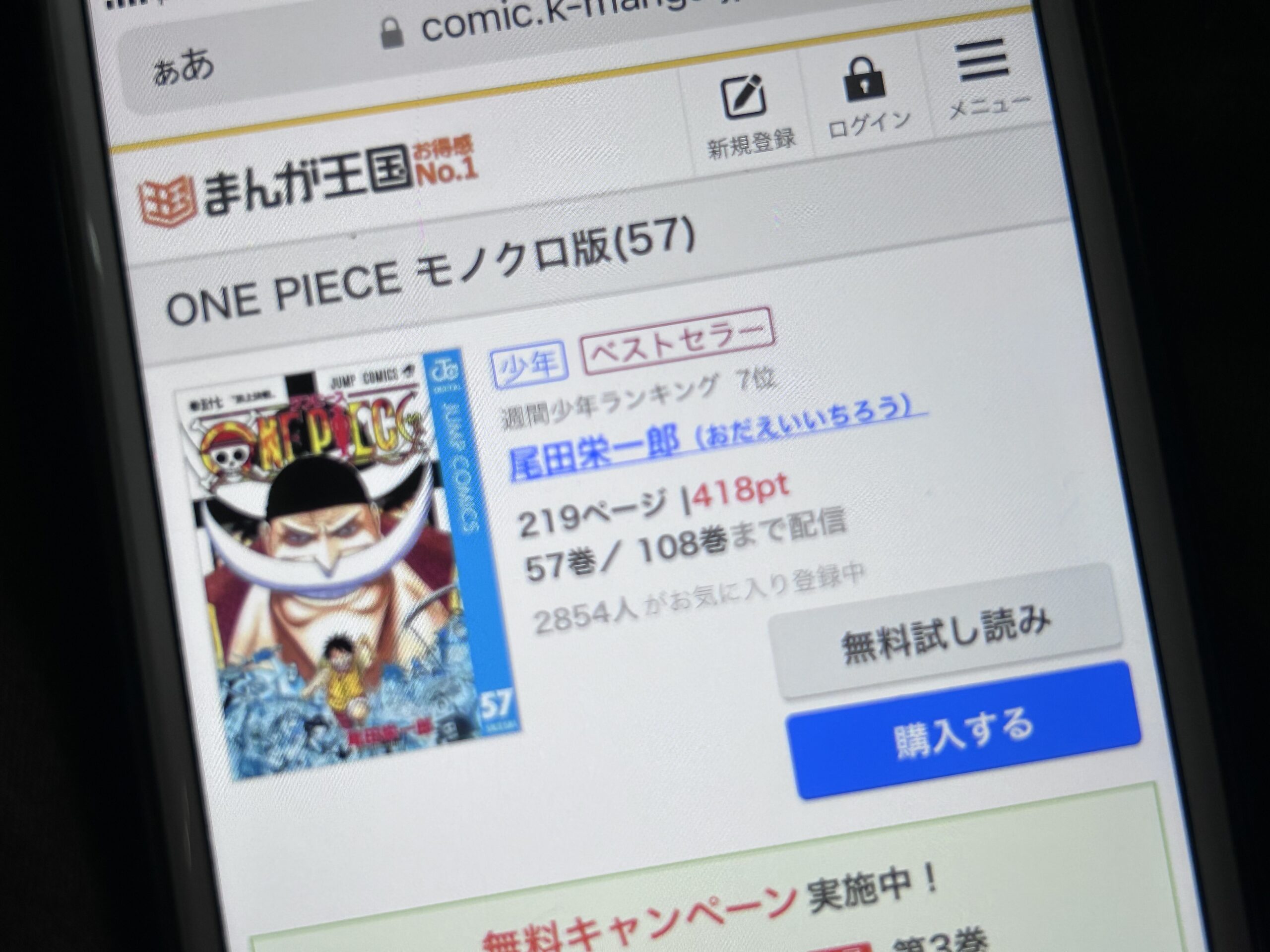 ONE PIECE(ワンピース)