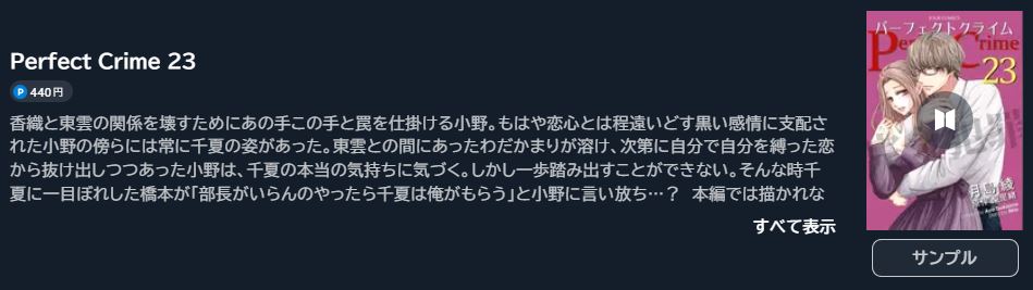 Perfect Crime(パーフェクトクライム)