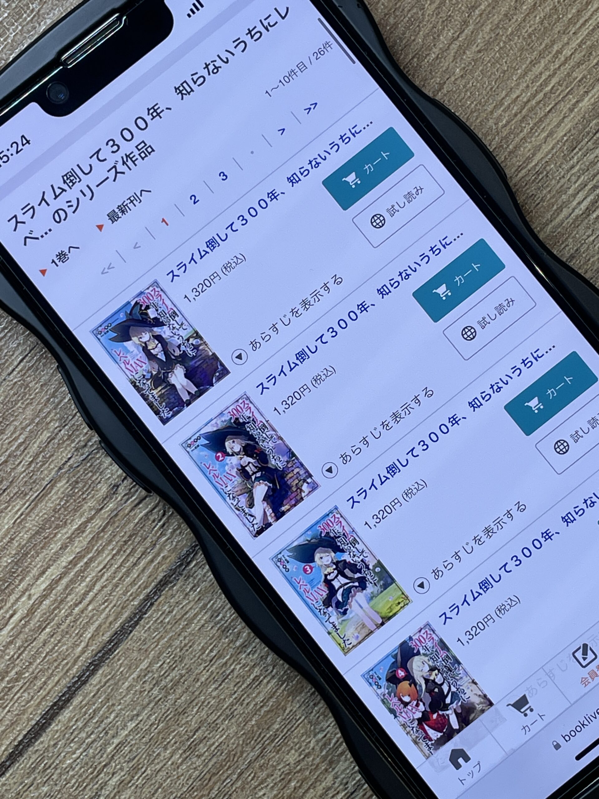 スライム倒して300年、知らないうちにレベルMAXになってました