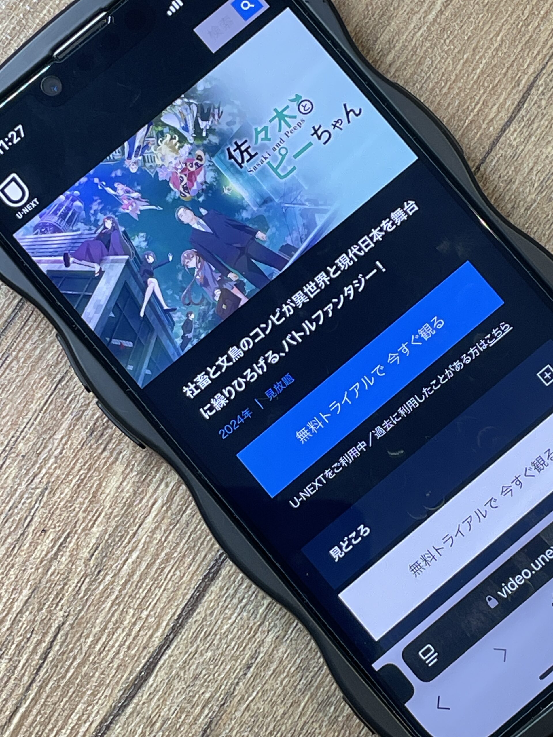 佐々木とピーちゃん