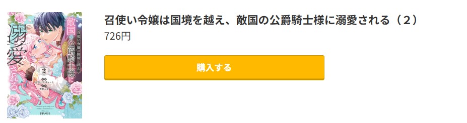 召使い令嬢は国境を越え、敵国の公爵騎士様に溺愛される