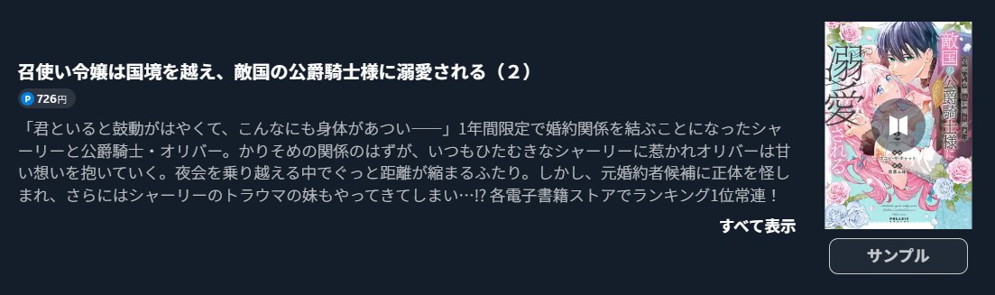 召使い令嬢は国境を越え、敵国の公爵騎士様に溺愛される