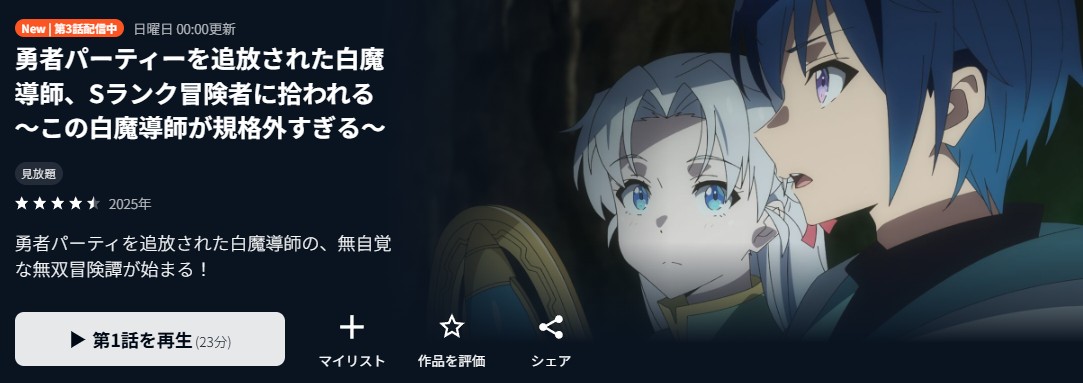 勇者パーティーを追放された白魔導師、Sランク冒険者に拾われる