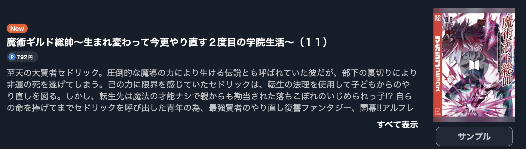 魔術ギルド総帥